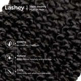 Lashey Human Hair Bulk Water Wave for Boho Braiding Hair Bulk for Boho
