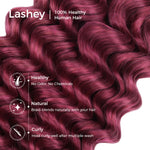 Lashey Human Hair Bulk Deep Wave 99J for Boho Braiding