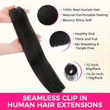 Final Sale | 24" Seamless Clip in Silky Straight Hair Extensions (110g)-US Only